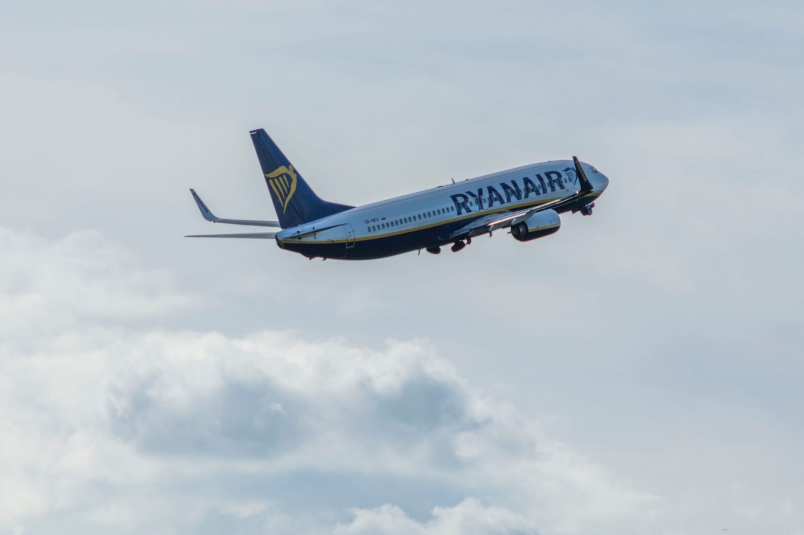 TAP Air Portugal Discount Codes June 2026 - Photo by SHOX ART on Pexels
