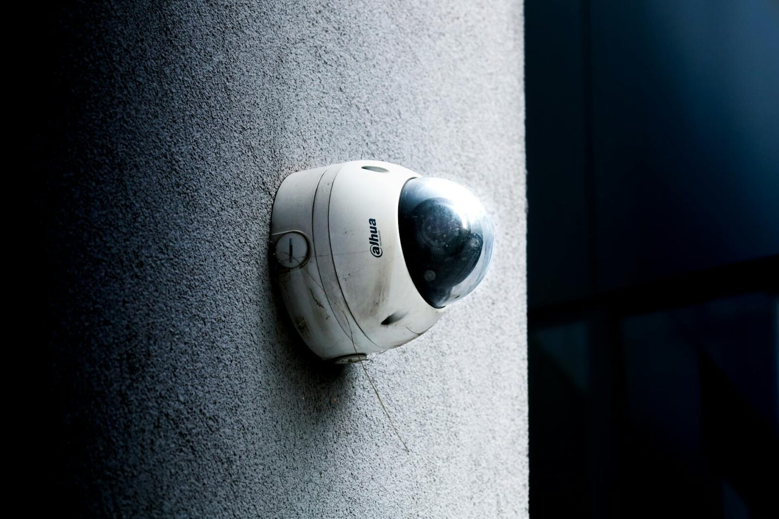 fisa - Photo by Thomas VEILLON on Pexels