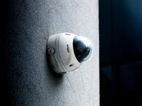 fisa - Photo by Thomas VEILLON on Pexels