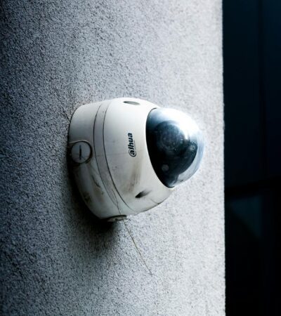 fisa - Photo by Thomas VEILLON on Pexels