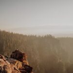 Avoid the crowds: 7 state parks with national park-worthy wonders to explore - Photo by Josh Withers on Pexels