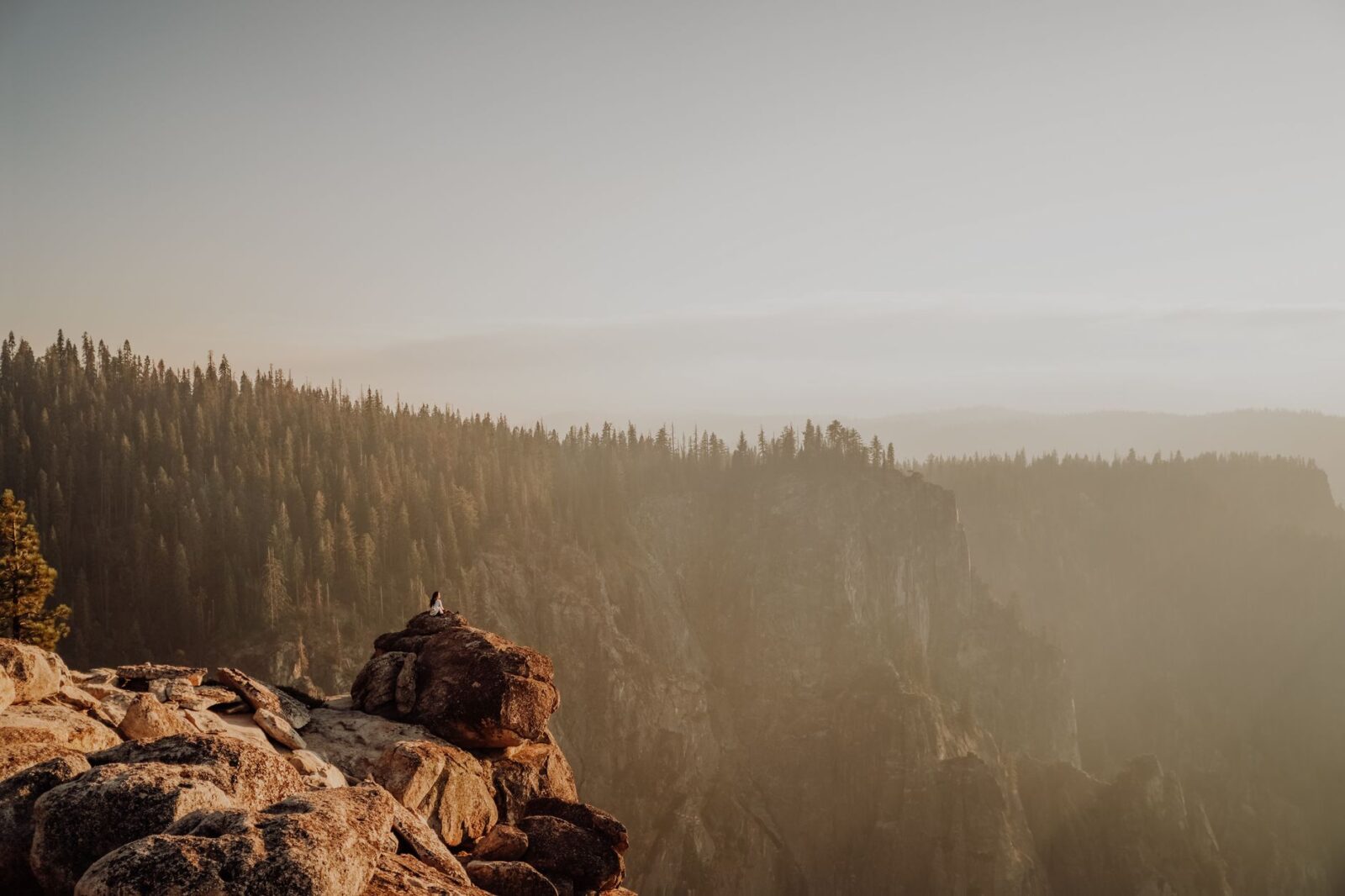 Avoid the crowds: 7 state parks with national park-worthy wonders to explore - Photo by Josh Withers on Pexels