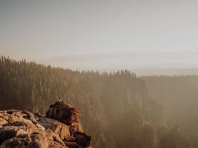 Avoid the crowds: 7 state parks with national park-worthy wonders to explore - Photo by Josh Withers on Pexels