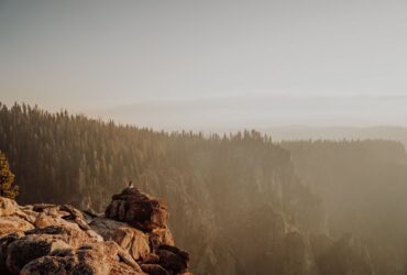 Avoid the crowds: 7 state parks with national park-worthy wonders to explore - Photo by Josh Withers on Pexels