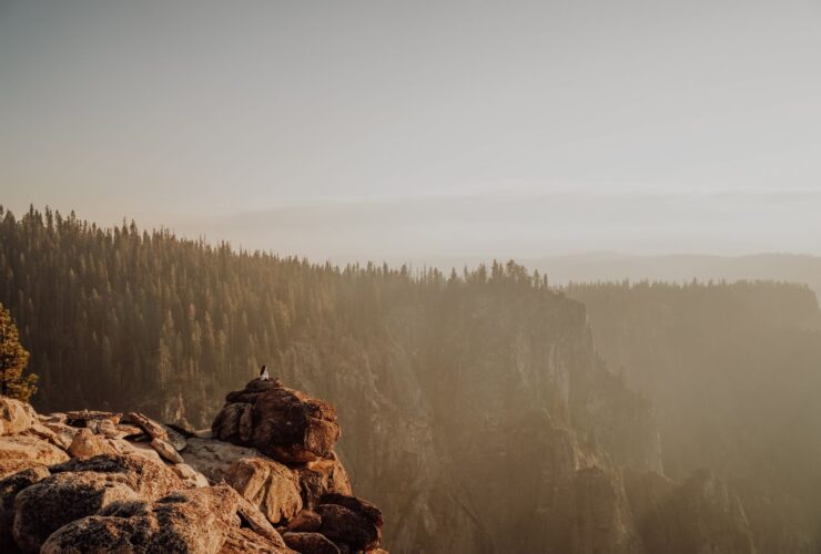 Avoid the crowds: 7 state parks with national park-worthy wonders to explore - Photo by Josh Withers on Pexels