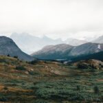 The best US national parks you should visit at least once (or twice) - Photo by Ali Kazal on Pexels