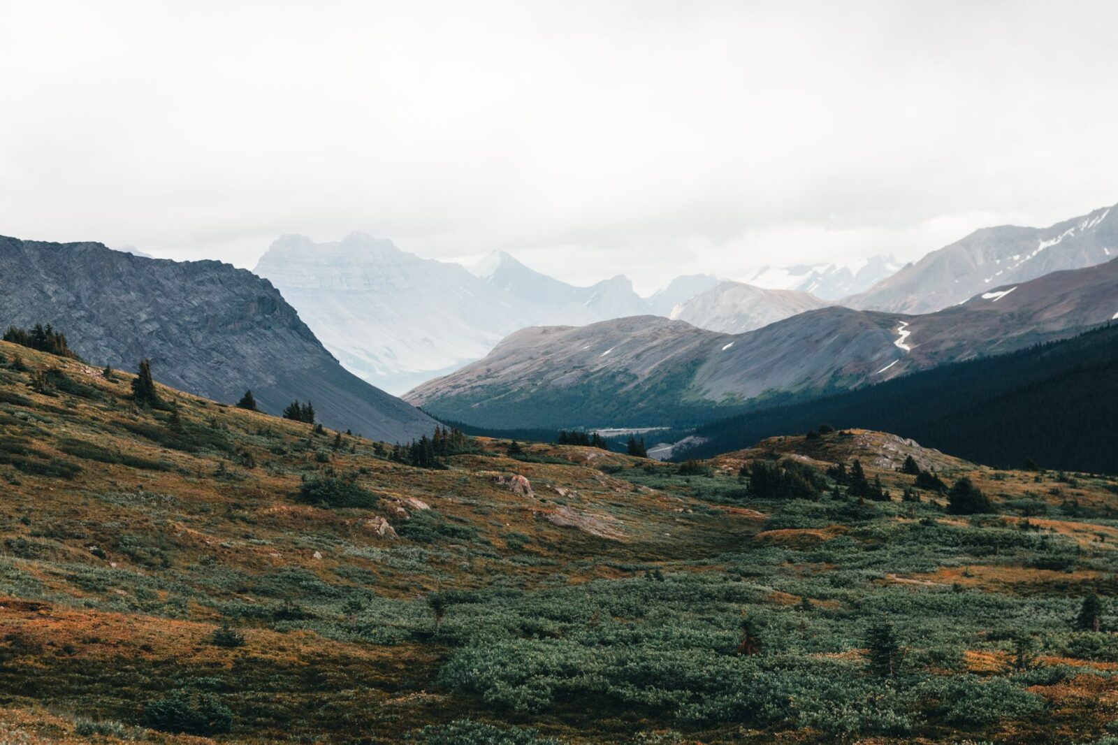 The best US national parks you should visit at least once (or twice) - Photo by Ali Kazal on Pexels