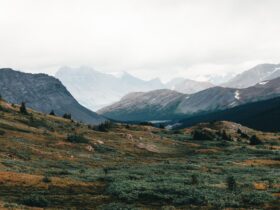 The best US national parks you should visit at least once (or twice) - Photo by Ali Kazal on Pexels