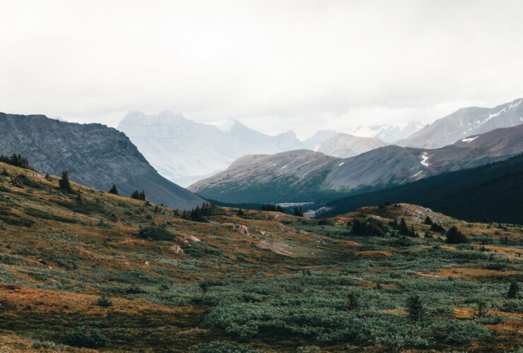 The best US national parks you should visit at least once (or twice) - Photo by Ali Kazal on Pexels