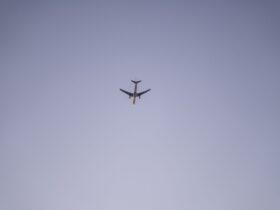 Cathay Pacific CEO: Summer Demand Is Holding Up Despite Fuel Price Shock - Photo by Felipe Valtl de Mello on Pexels