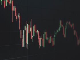 sandisk stock - Photo by Arturo Añez. on Pexels