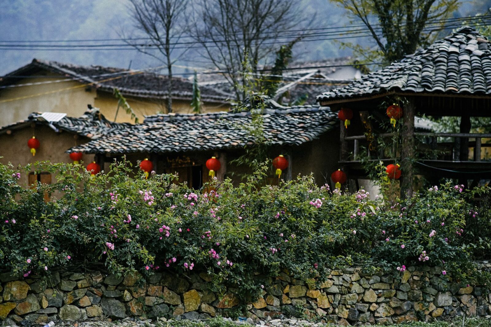 Everest Base Camp Trek Complete Planning Guide 2026 — Updated Guide - Photo by Hac Hai on Pexels