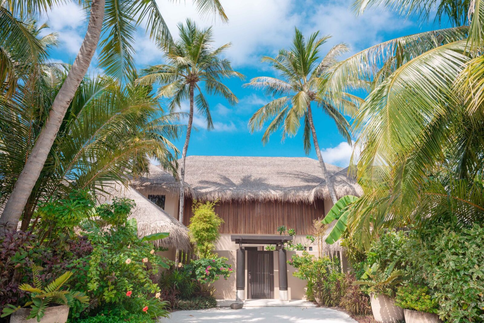 J.Lo's Latest Rom-Com 'Office Romance' Takes Us From NYC to the Dominican Republic - Photo by Asad Photo Maldives on Pexels