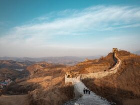 G7 Leaders' call on the fight against cancer: 16 June 2026 - Photo by Richard Chen on Pexels