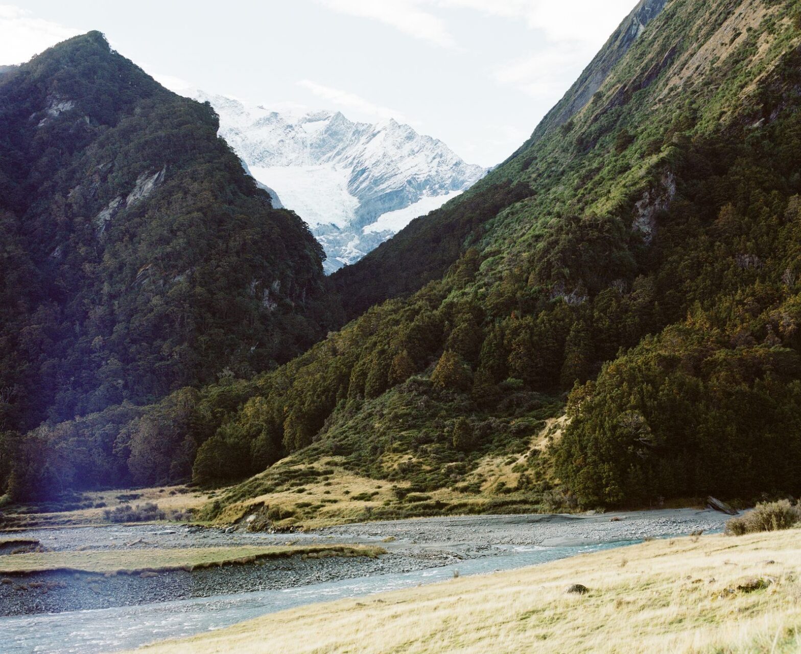 Navan Says Rivals’ Mergers Are Sending It More Clients - Photo by Paul Campbell on Pexels