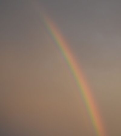 Flying Over a Rainbow Is Believed to Bring Luck—Here Is the U.S. Route With the Highest Chance - Photo by Kristina Kutleša on Pexels