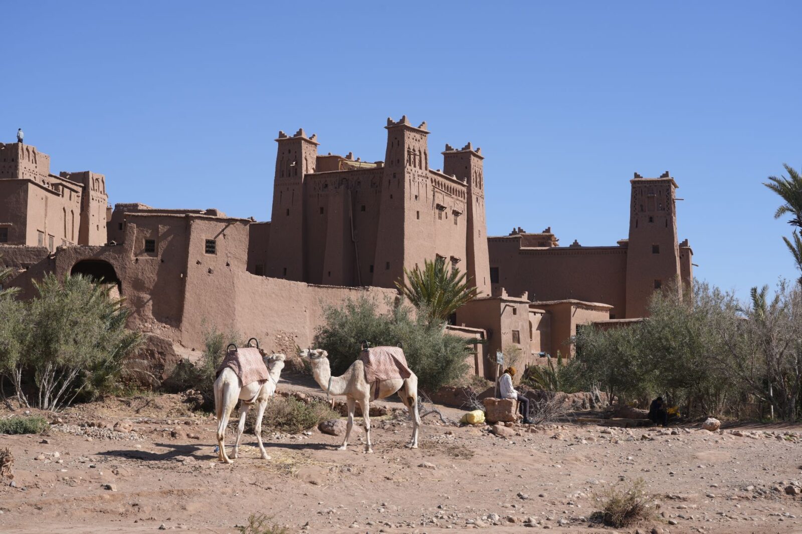 The Ultimate Guide to Exploring Morocco Beyond Marrakech - Photo by Cornelis Johannes (Kees) van Leeuwen on Pexels