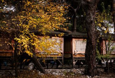 This Tree House Airbnb Is Built Around a Living Tree in South Carolina’s Blue Ridge Mountains - Photo by Aysegul Aytoren on Pexels