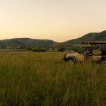 australia travel advisory south africa - Photo by Theo Topolevsky on Pexels