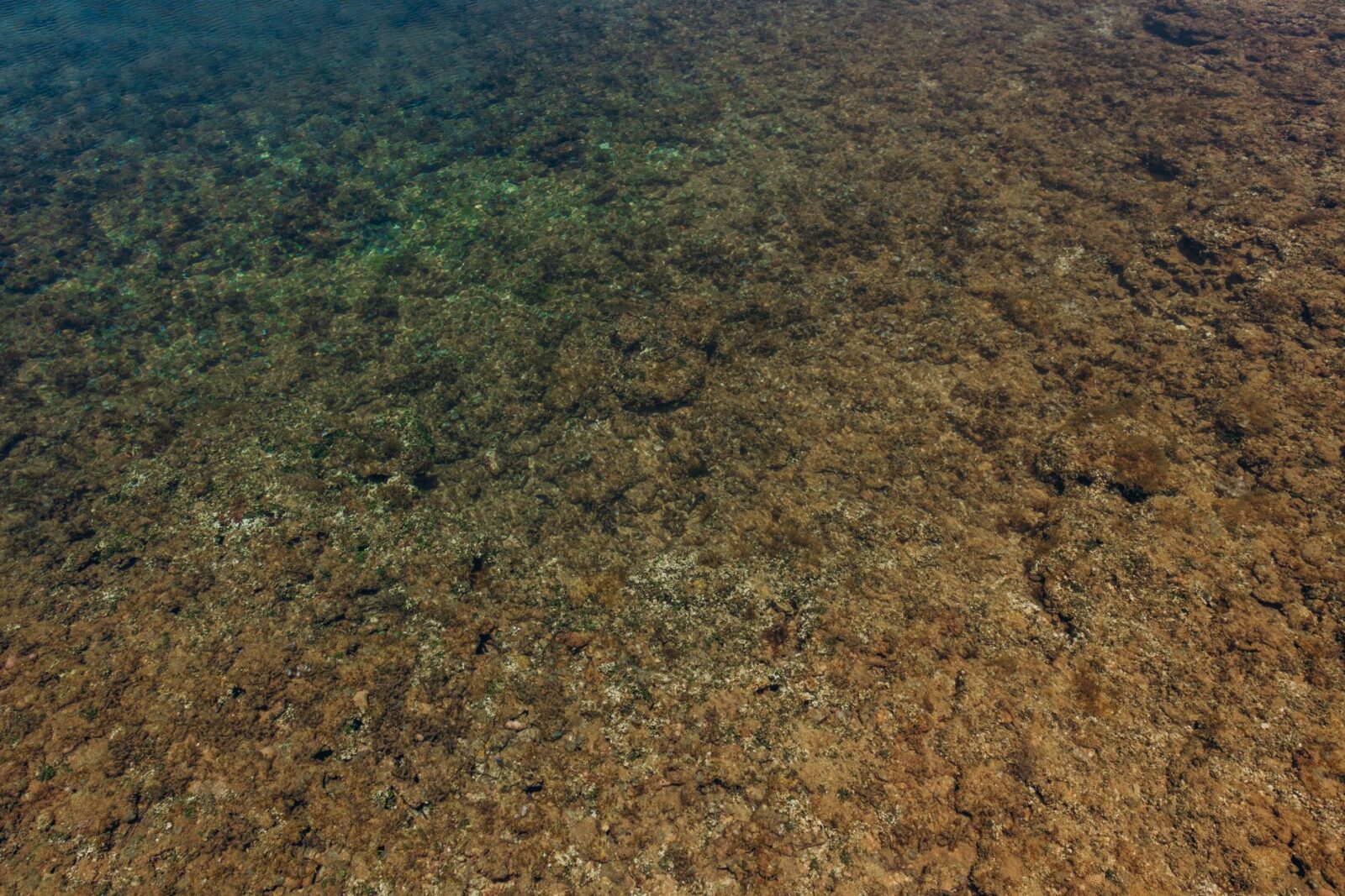 Mysterious Facts About the Bermuda Triangle That Baffle Scientists — Updated Guide - Photo by Jonathan Borba on Pexels