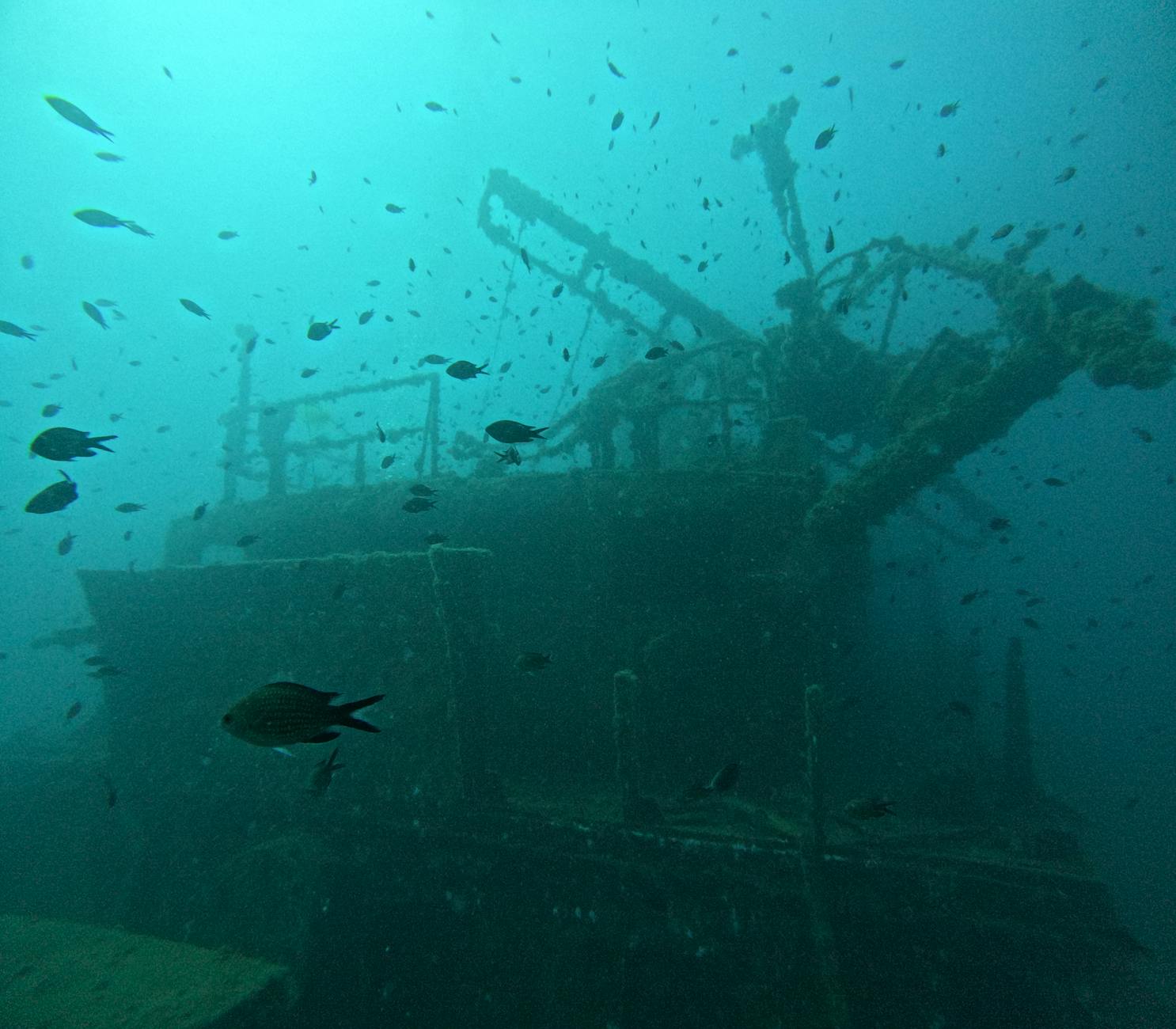 Mysterious Facts About the Bermuda Triangle That Baffle Scientists — Updated Guide - Photo by Julien de Meyer on Pexels