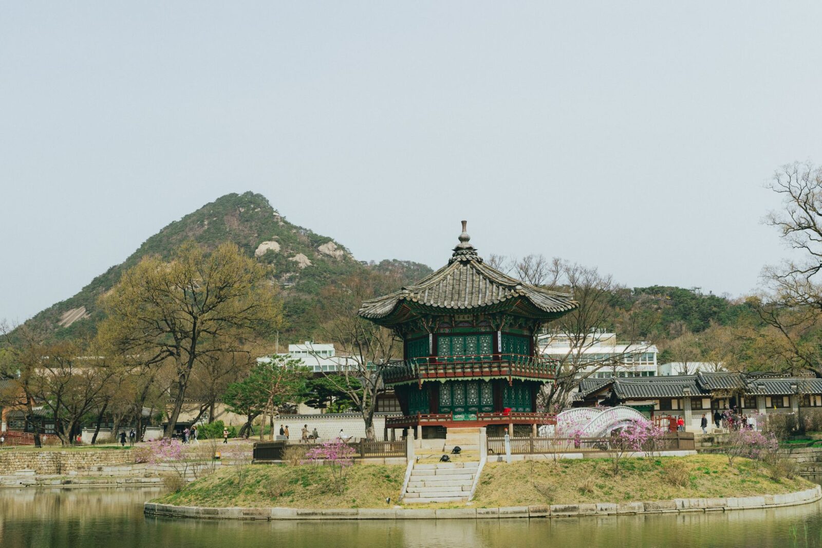 South Korea for First Timers Seoul Busan and Beyond - Photo by Theodore Nguyen on Pexels