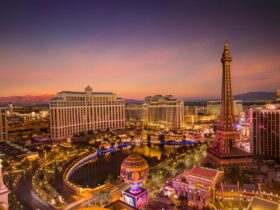 MGM Resorts Sets Ultimate Summer Stage for Spectacle, Sports and Sun in Las Vegas - Photo by Stephen Leonardi on Pexels