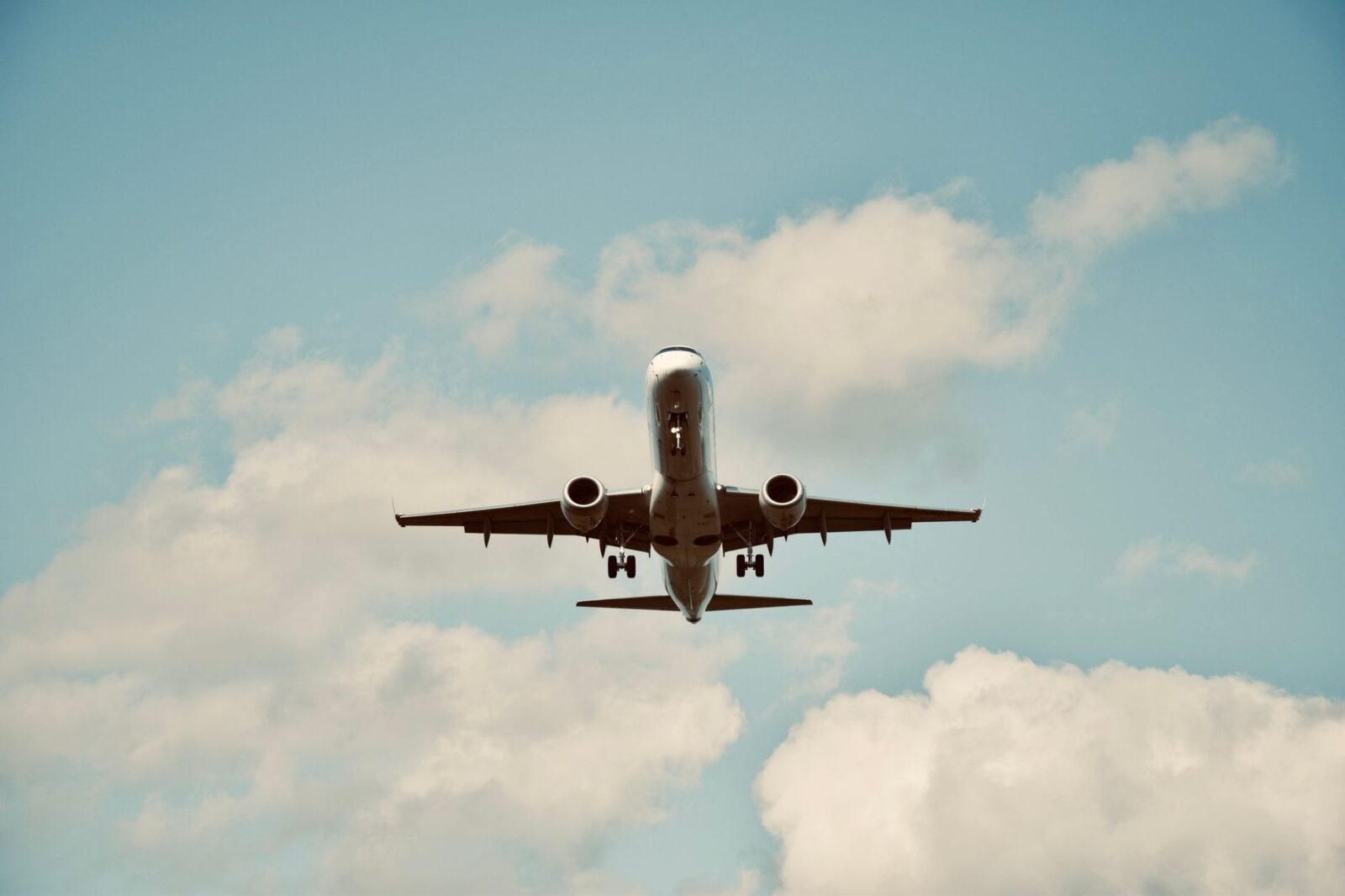 Delta SkyMiles Platinum Business card review: Valuable Delta perks without lounge access - Photo by Hameem R on Pexels