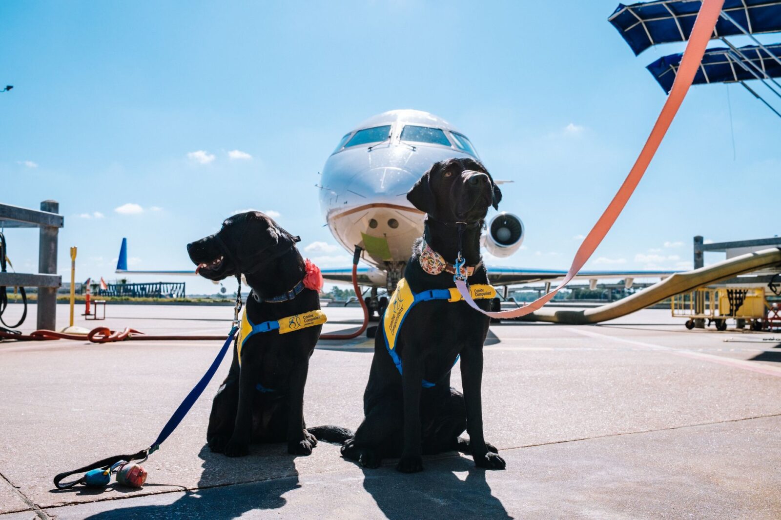 TSA PreCheck: Should You Ditch Your Travel Companion If They Don't Have It? - Photo by Jeswin Thomas on Pexels