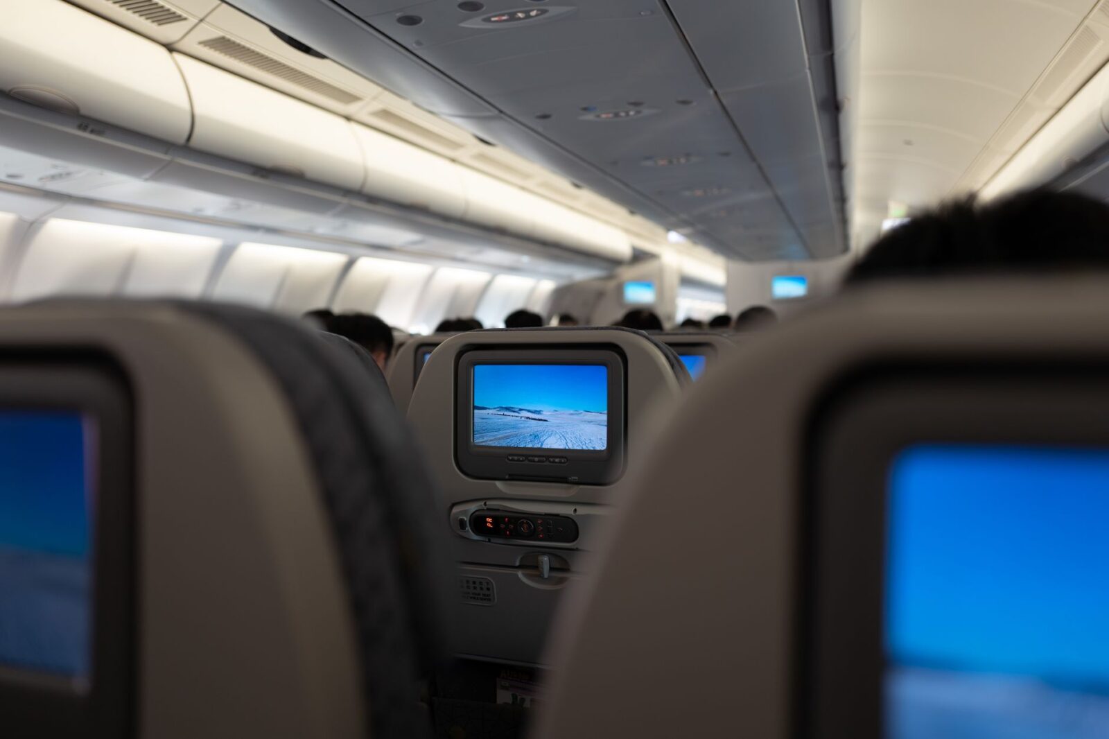 Delta SkyMiles Platinum Business card review: Valuable Delta perks without lounge access - Photo by Max Chen on Pexels