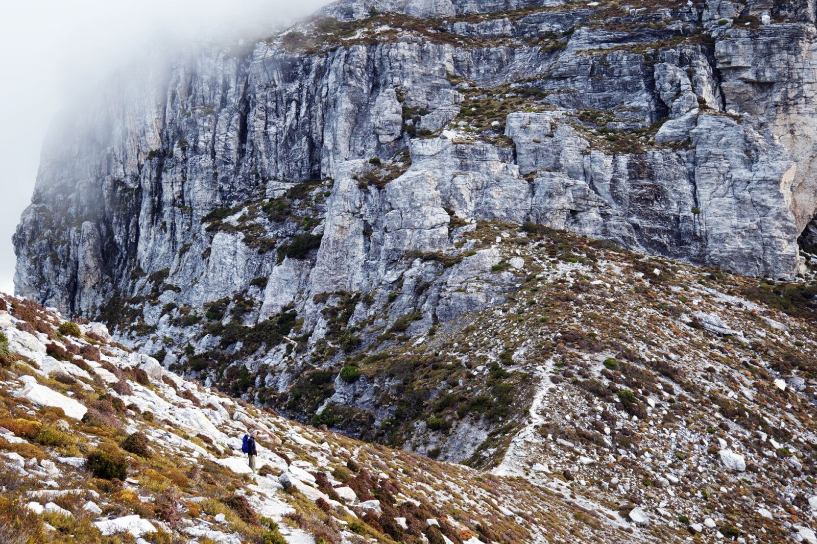 Everest Base Camp Trek Complete Planning Guide 2026 - Photo by Mark Direen on Pexels