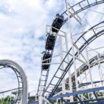 BUSCH GARDENS TAMPA BAY APPOINTS JON VIGUE AS NEW PARK PRESIDENT - Photo by Element5 Digital on Pexels