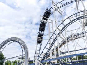 BUSCH GARDENS TAMPA BAY APPOINTS JON VIGUE AS NEW PARK PRESIDENT - Photo by Element5 Digital on Pexels