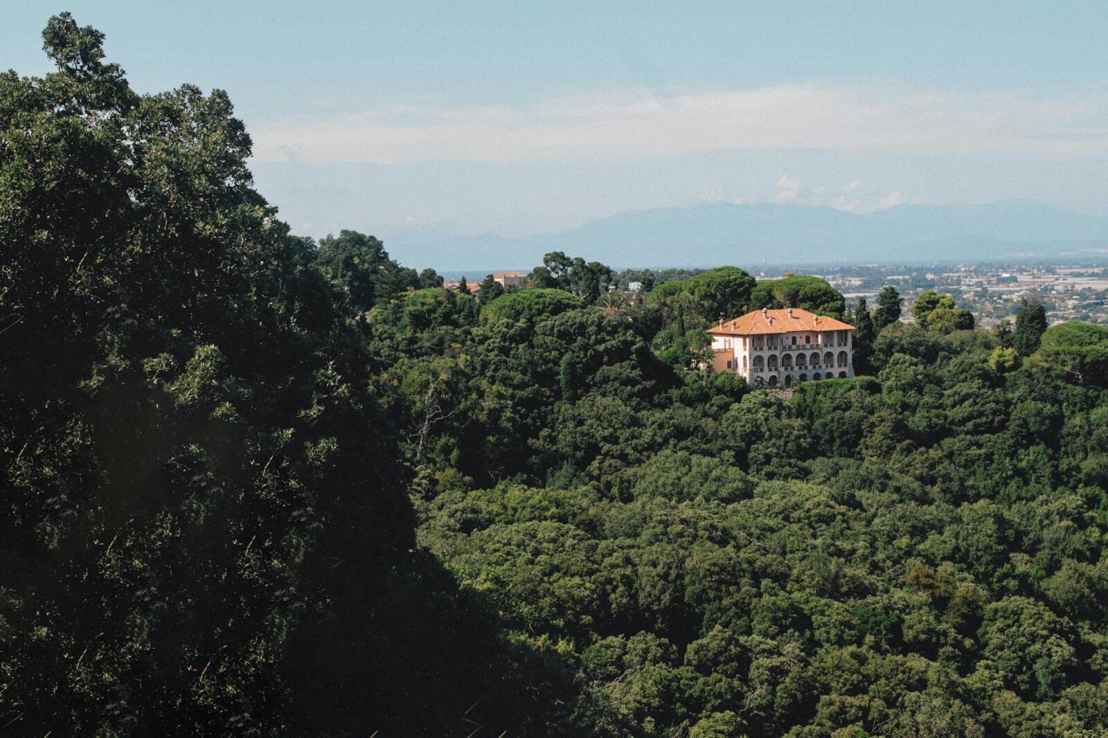Host Your Micro Wedding at These 17 Airbnb Venues Around the World - Photo by Apti Newim on Pexels