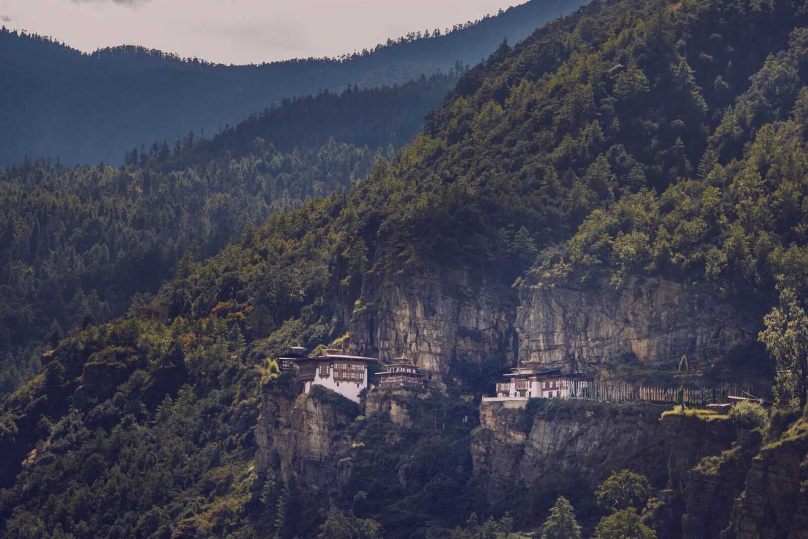 Bhutan Travel Guide How to Visit the Last Shangri-La — Updated Guide - Photo by Harsh Suthar on Pexels