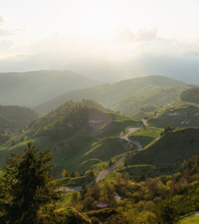 Changes to KHV disease controls in recreational fisheries - Photo by Cesare Brunello on Pexels