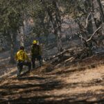 Government strengthens wildfire resilience heading into summer - Photo by RDNE Stock project on Pexels