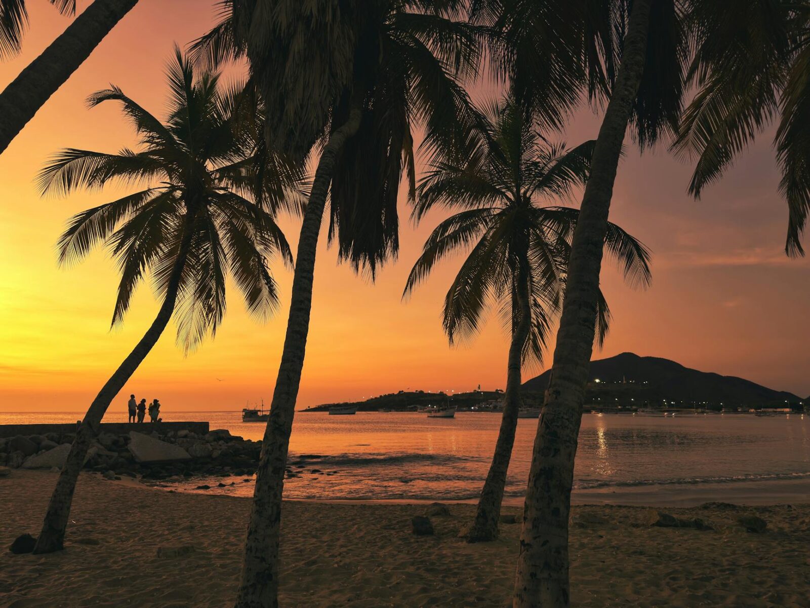 Maldives on a Budget Is It Actually Possible — Updated Guide - Photo by Fiodor Ivanov on Pexels