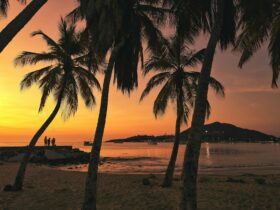 Maldives on a Budget Is It Actually Possible — Updated Guide - Photo by Fiodor Ivanov on Pexels