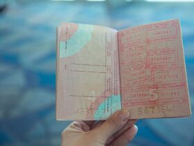Schengen Visa Application Step by Step Guide for First Timers — Updated Guide - Photo by Ekaterina Belinskaya on Pexels