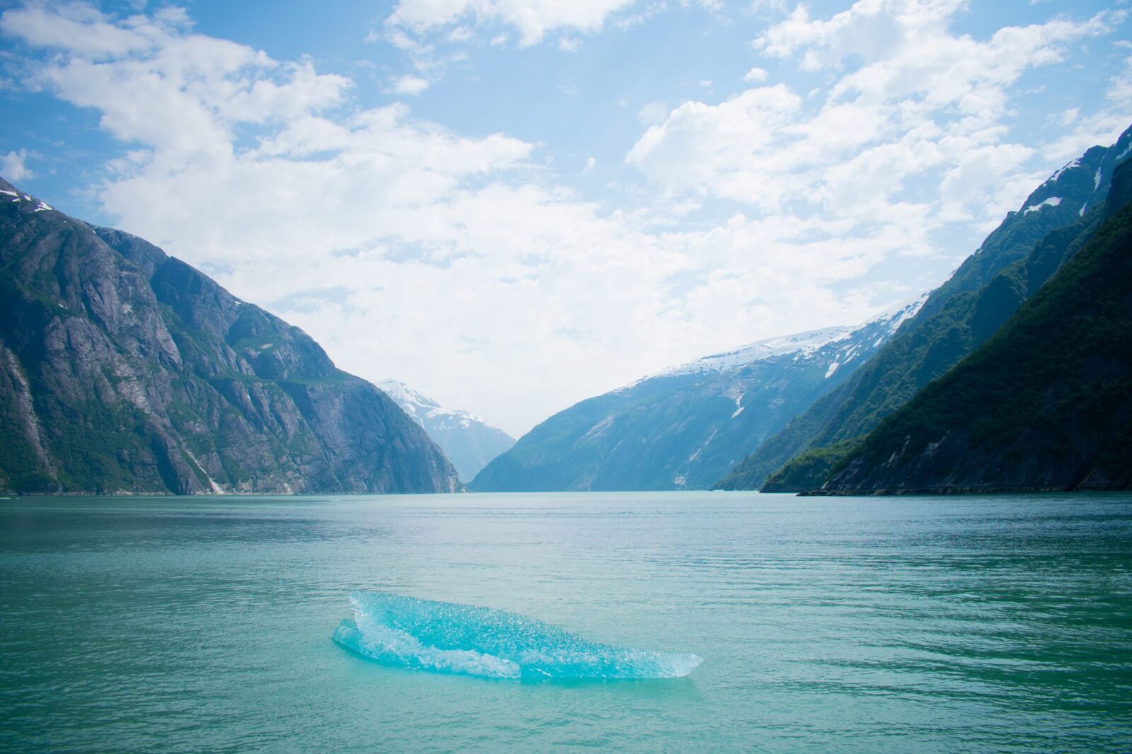Alaska Cruise vs Caribbean Cruise Which Should You Choose — Updated Guide - Photo by Albert Koenig on Pexels