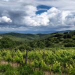Why Georgia Is Europes Best Kept Secret for Food Lovers - Photo by Wolfgang Weiser on Pexels
