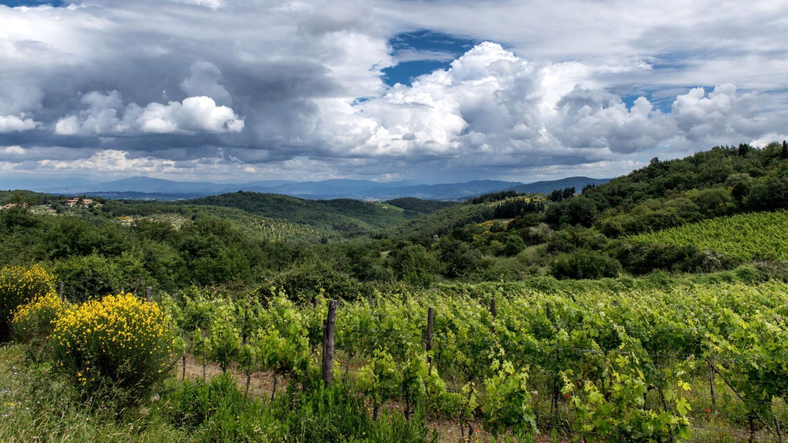 Why Georgia Is Europes Best Kept Secret for Food Lovers - Photo by Wolfgang Weiser on Pexels