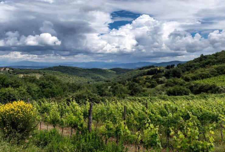 Why Georgia Is Europes Best Kept Secret for Food Lovers - Photo by Wolfgang Weiser on Pexels