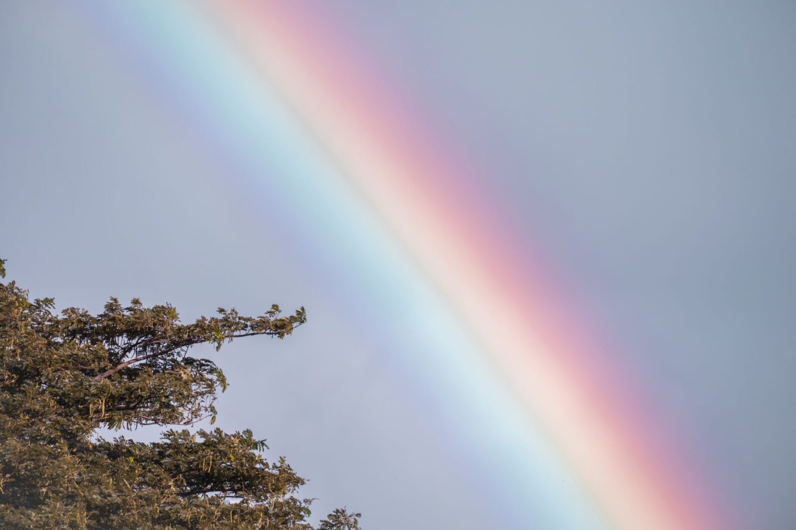 Flying Over a Rainbow Is Believed to Bring Luck—Here Is the U.S. Route With the Highest Chance - Photo by Jess Loiterton on Pexels