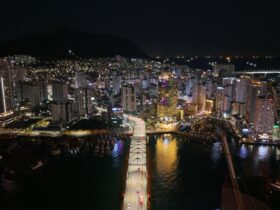 South Korea for First Timers Seoul Busan and Beyond - Photo by Jhany Blue on Pexels