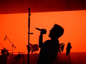 niall horan - Photo by Bunyamin Cicek on Pexels