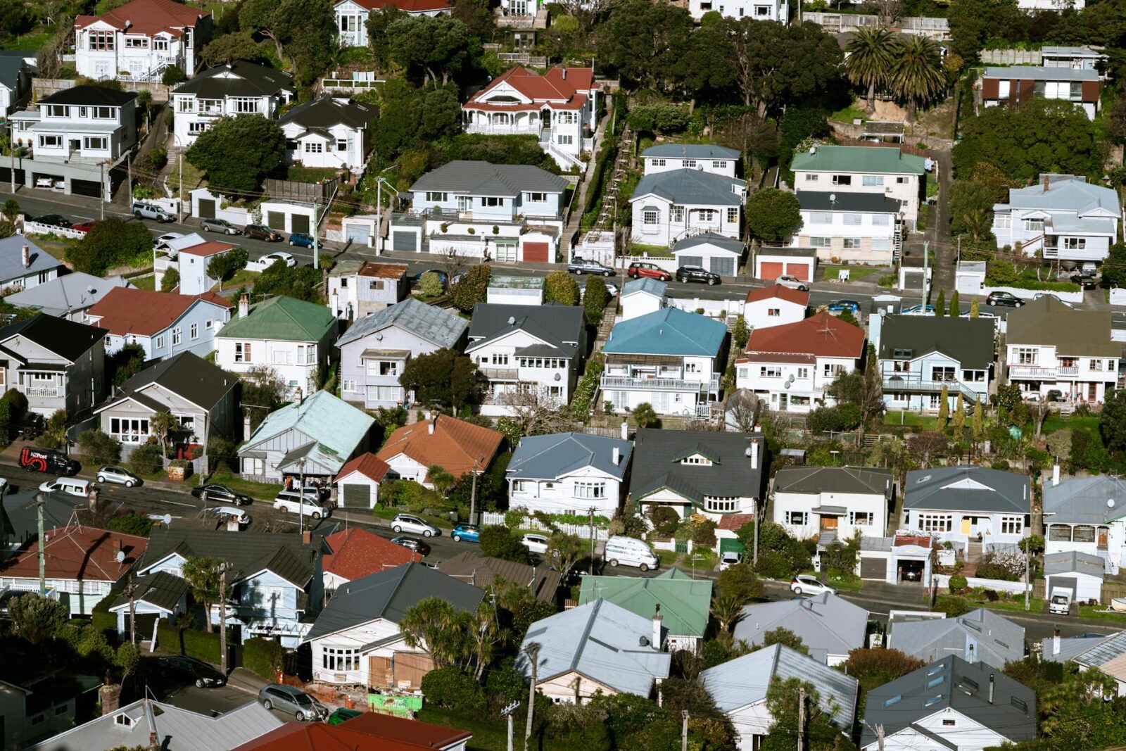 One year on: AIP visa closes in on $4b committed to NZ - Photo by Mitchell Henderson on Pexels