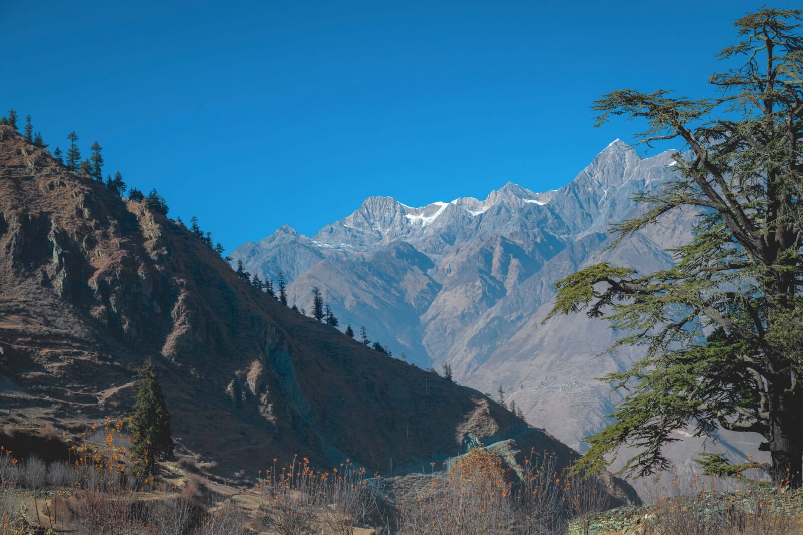 Annapurna Circuit vs Everest Base Camp Which Trek Is Right for You - Photo by Ashok J Kshetri on Pexels