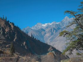 Annapurna Circuit vs Everest Base Camp Which Trek Is Right for You - Photo by Ashok J Kshetri on Pexels